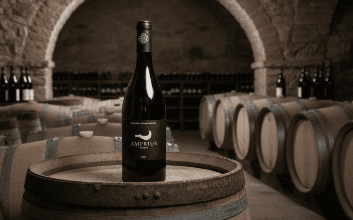 visitas con cata a bodegas